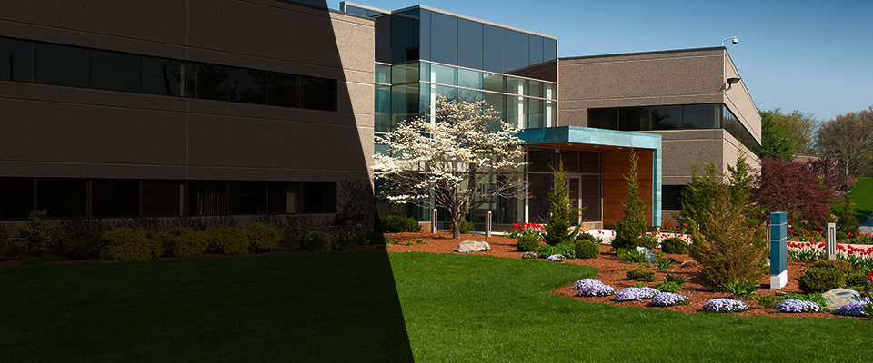 Saint Petersburg Landscapers