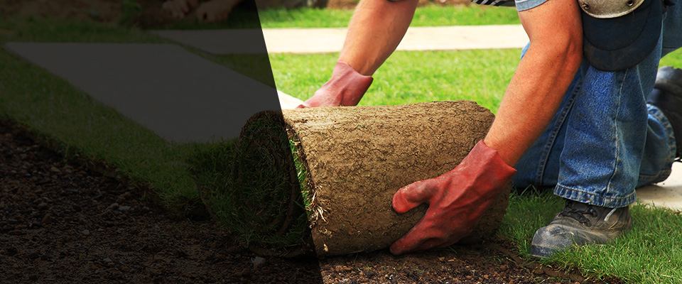 Saint Petersburg Landscapers